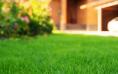 How To Care for Your Yard During Florida’s Rainy Season